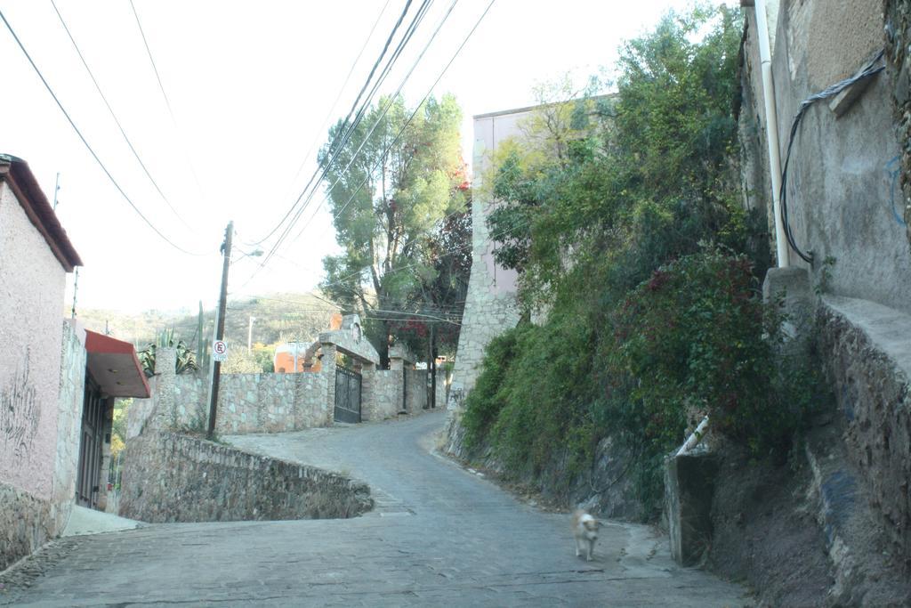 Arquitectos Departamento 11-5 Leilighet Guanajuato Eksteriør bilde
